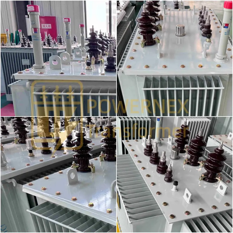 300 kVA three phase medium voltage oil-immersed transformer for industrial, commercial, and utility low voltage distribution, supporting European 20 kV and North American 11–13.8 kV to 400Y/230V, manufactured by PowerNex, global OEM supplier