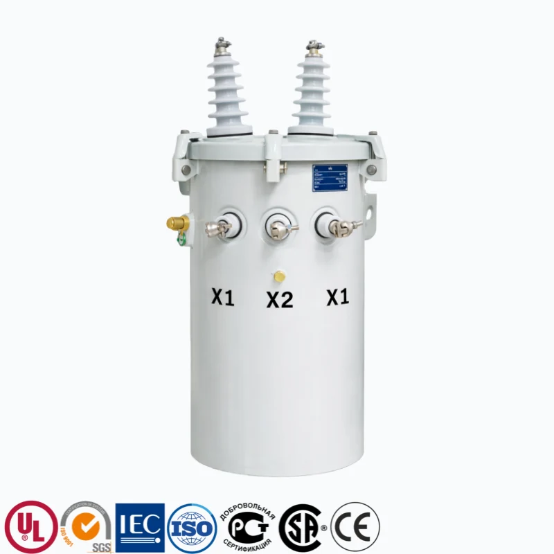 100kVA pole-mounted distribution transformer for global utility and grid applications, supporting 6kV–33kV primary and 380V–480V secondary voltages, outdoor-ready, IEC and ANSI certified, suitable for industrial power distribution, utility companies, EPC projects, and commercial or industrial facilities PowerNex